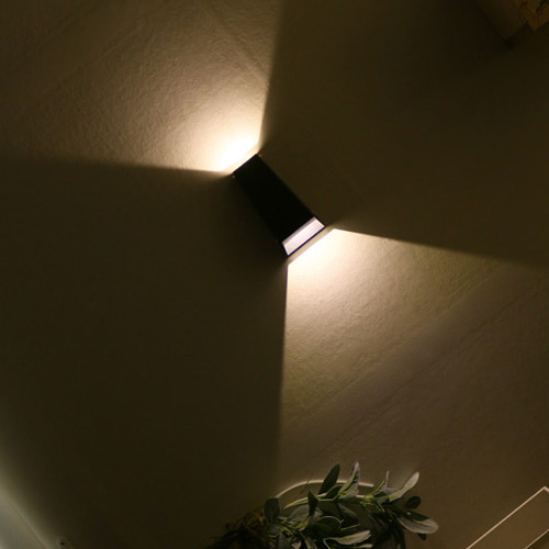 레니아 LED 2W 벽등